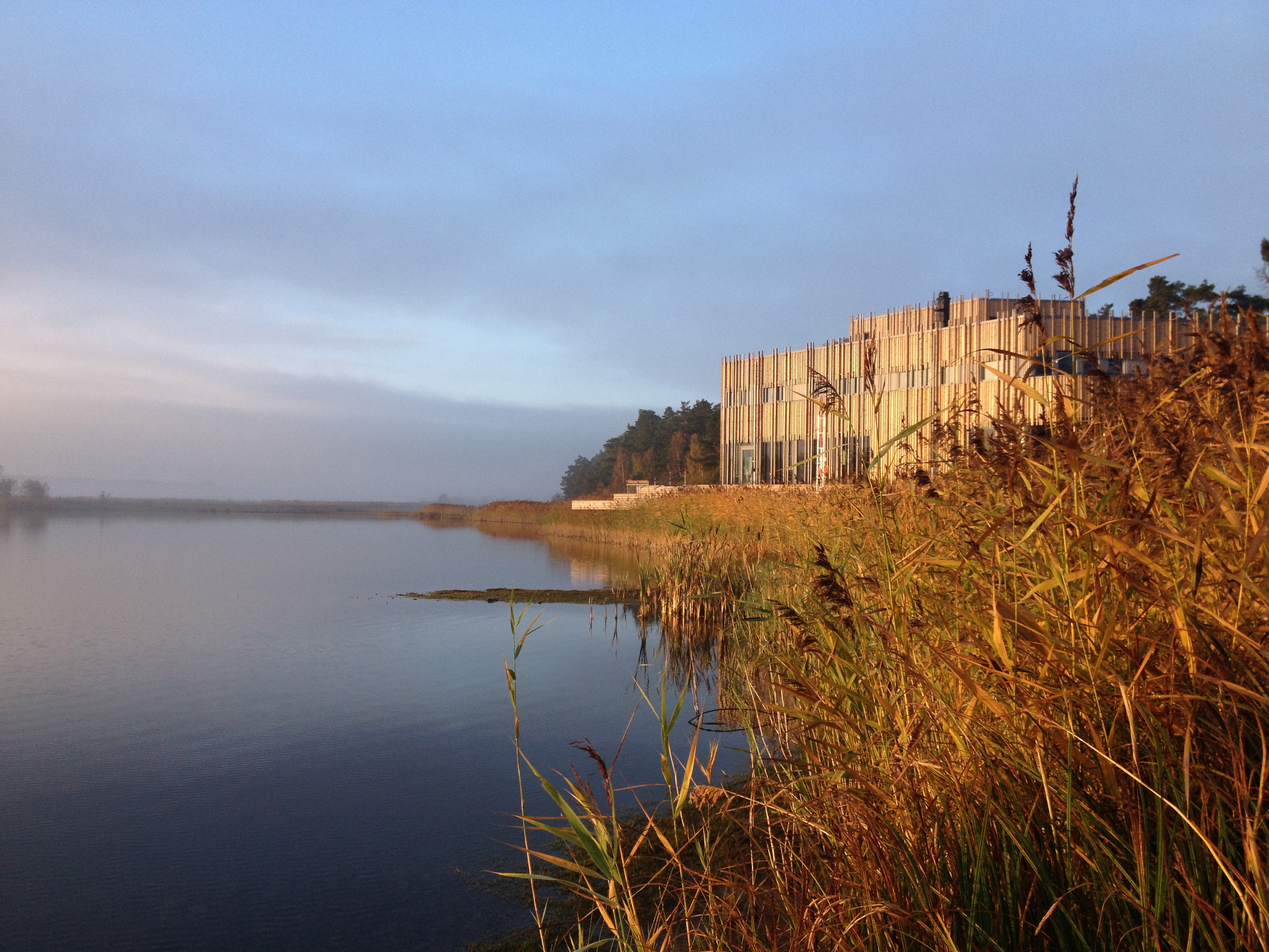 Naturum vid Läckö Slott en solig hösteftermiddag. Vattnet är stilla och vassen är orange.