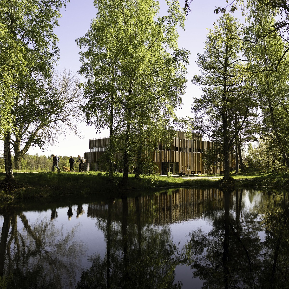 Building is reflected in water