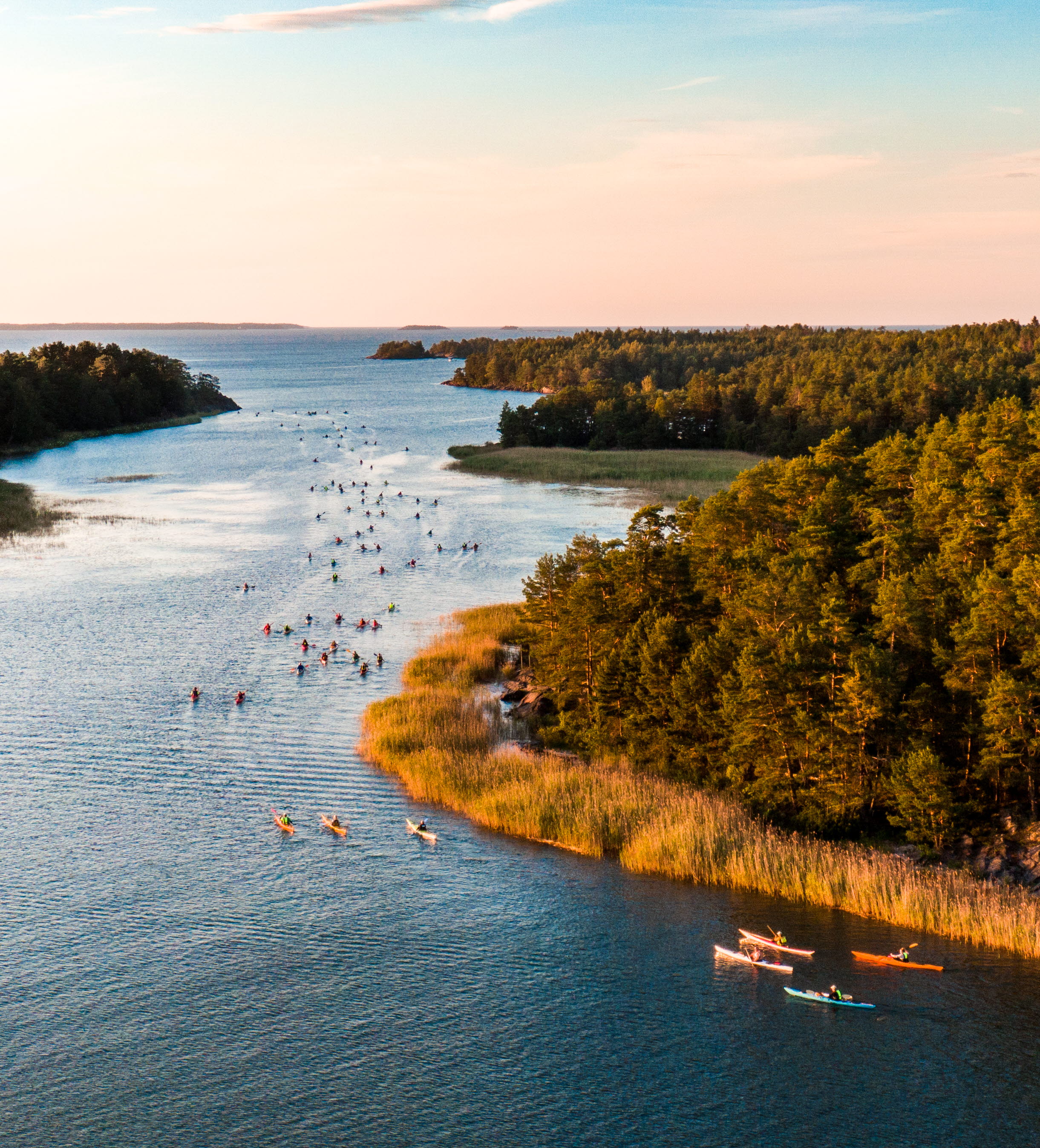 Många kajakpaddlare på led i skärgården i kvällssolen.