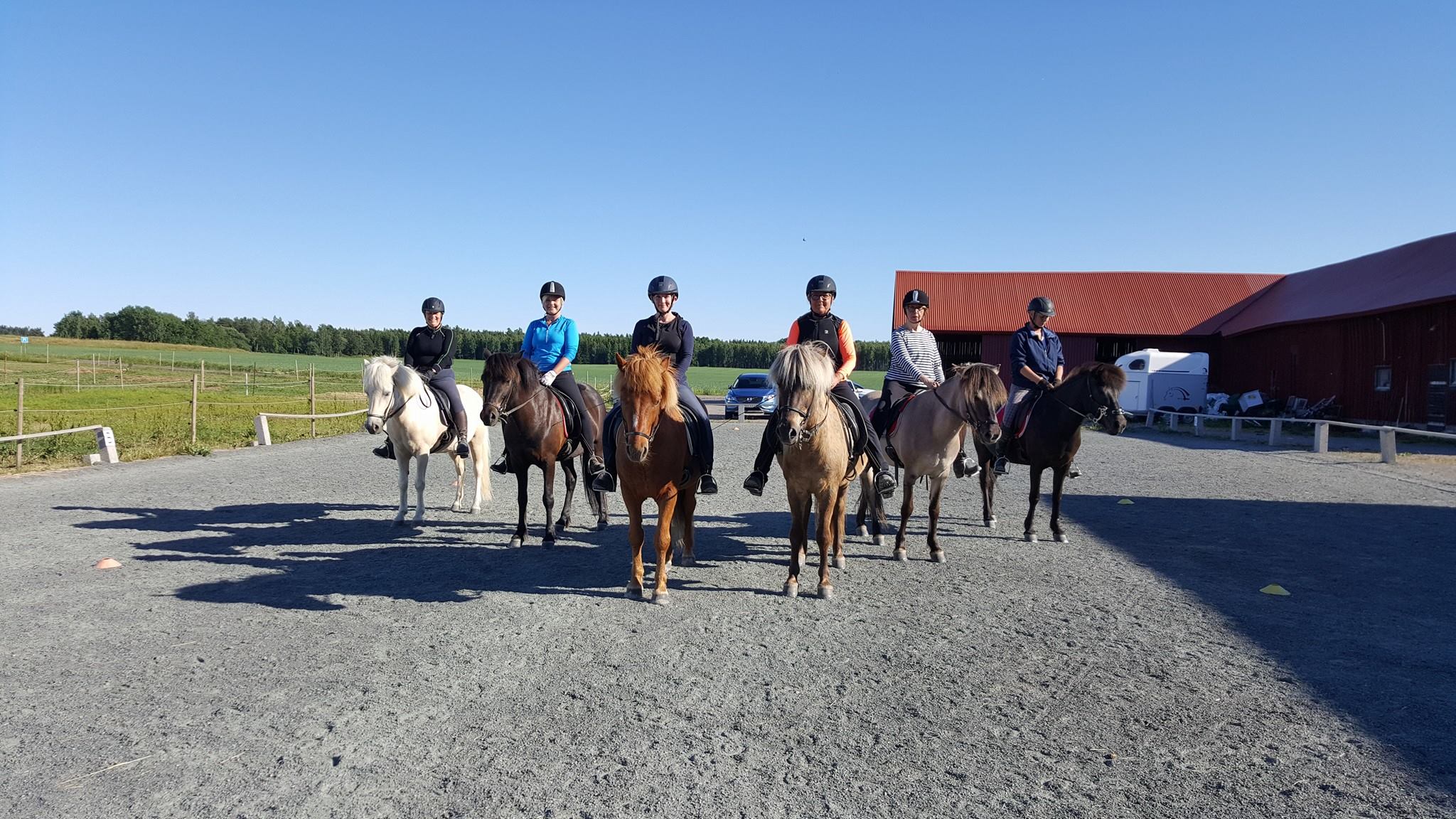 Flera personer står uppradade på sina islandshästar en solig dag på en hästgård.
