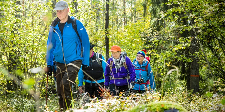 En grupp människor som vandrar i en skog.