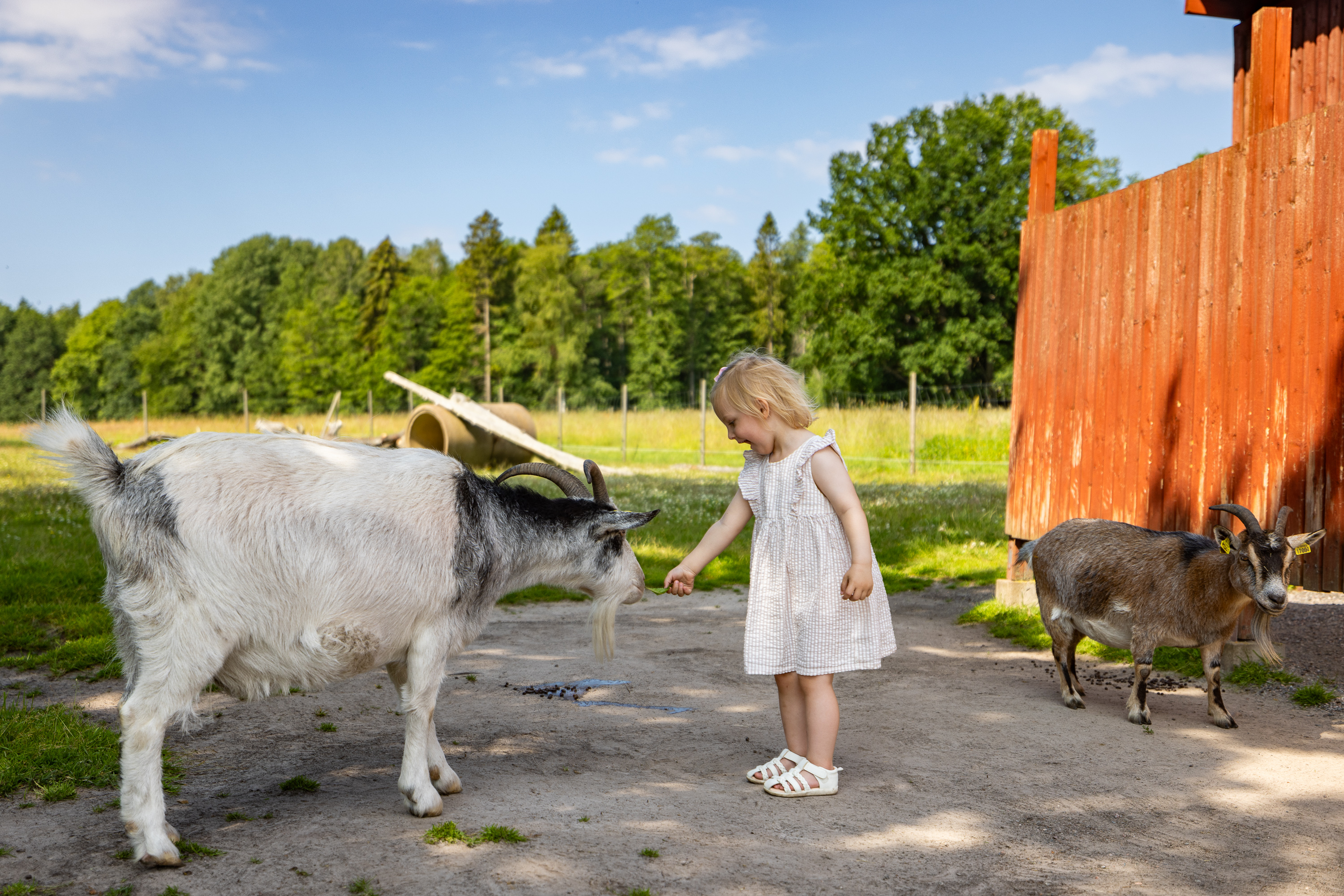 Farm near the city Lidköping