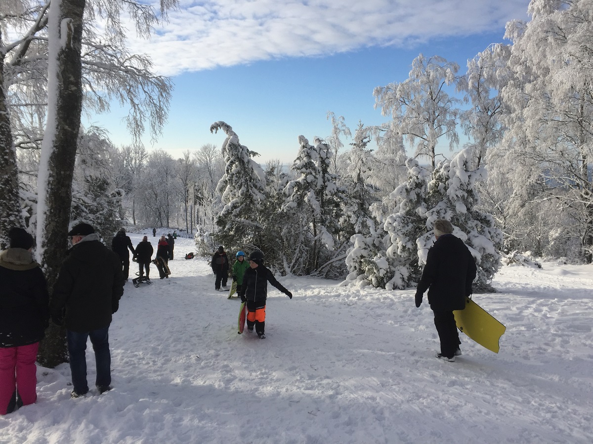 Stora Salen