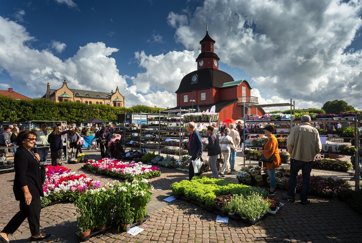 Torghandel med stånd av blommor. Människor som handlar och Rådhuset, en röd träbyggnad, syns i bakgrunden. 