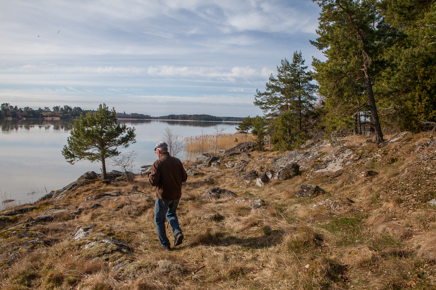 En äldre man vandrar på en mossklädd terräng och ser ut över vattnet.