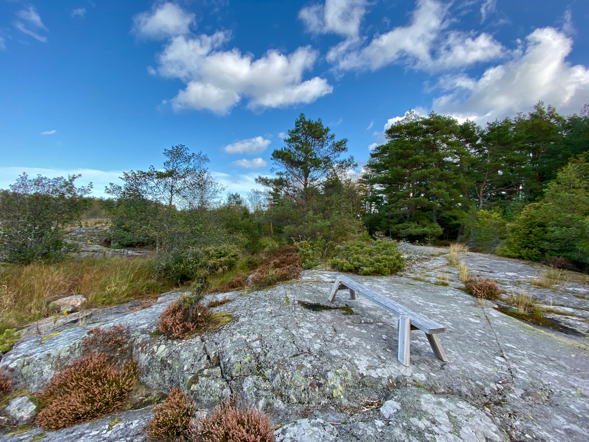 En klippa med en parkbänk.