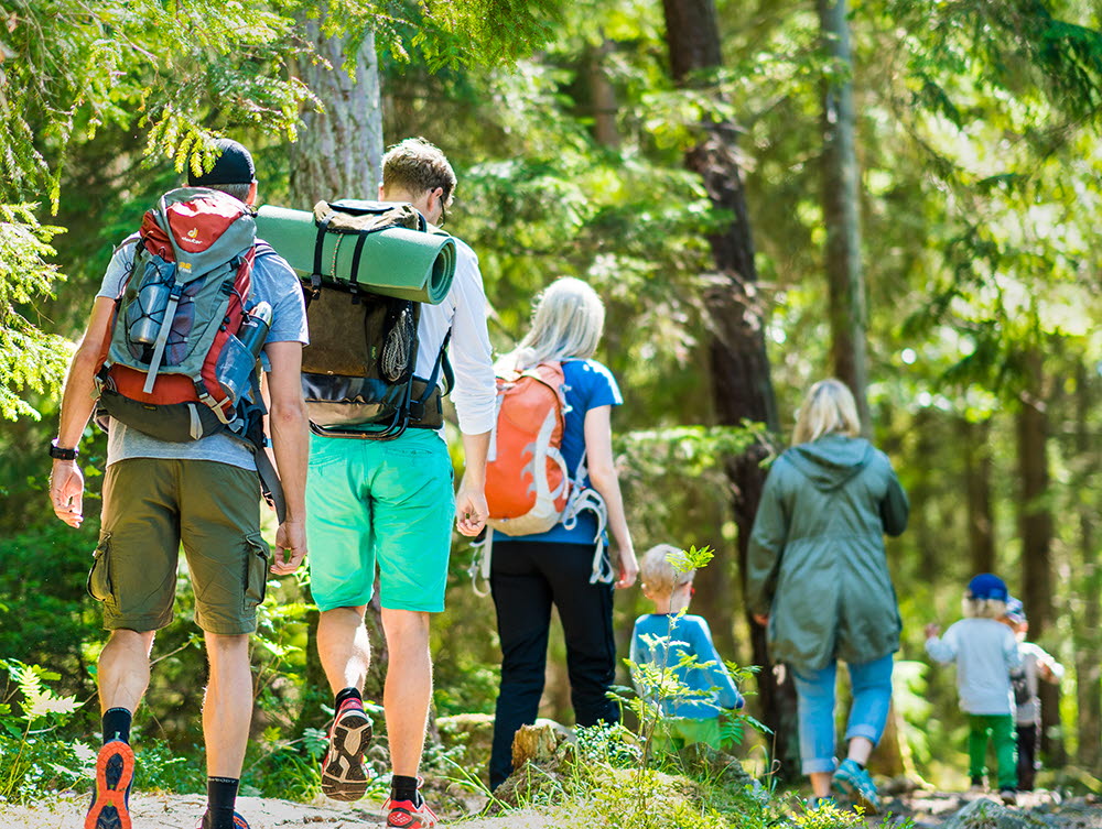 Sju personer som är ute och vandrar i vacker natur med barrträd. De bär ryggsäckar. 