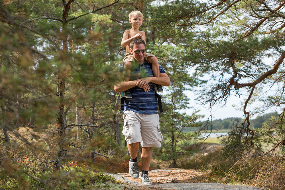 A dad who carry his child on his shoulders on a path in the woods.