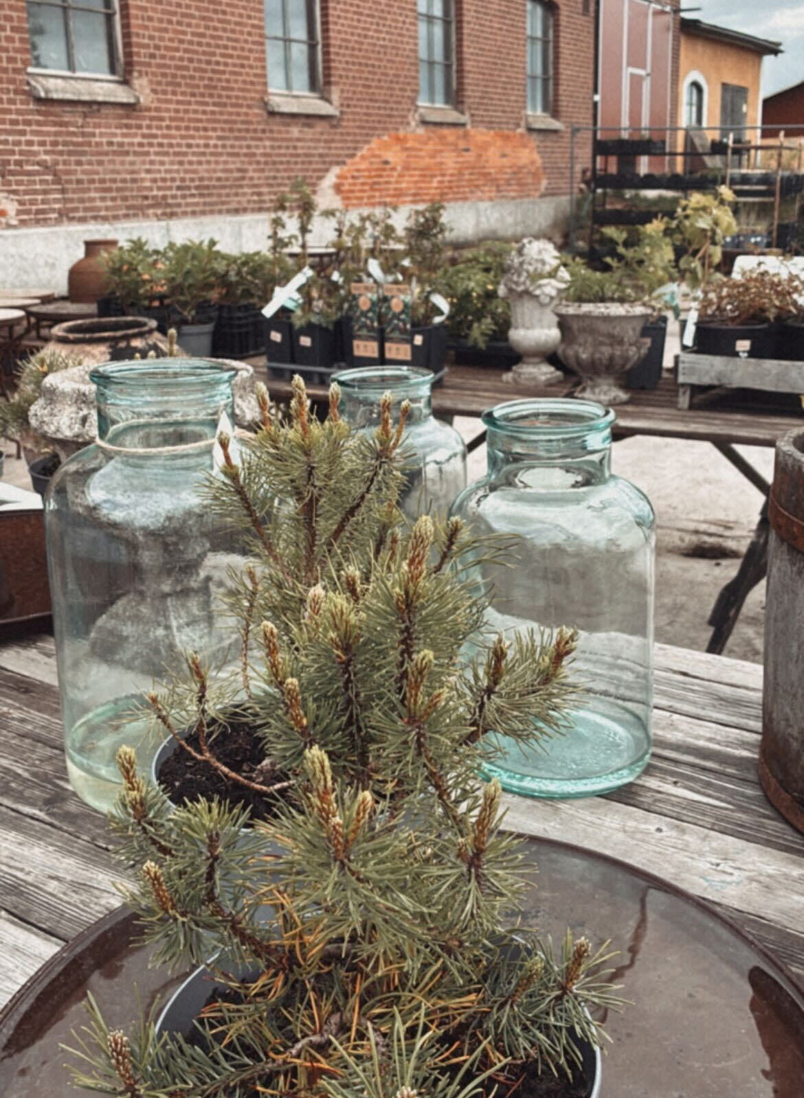Krukor och vaser på arbetsbänk i trä