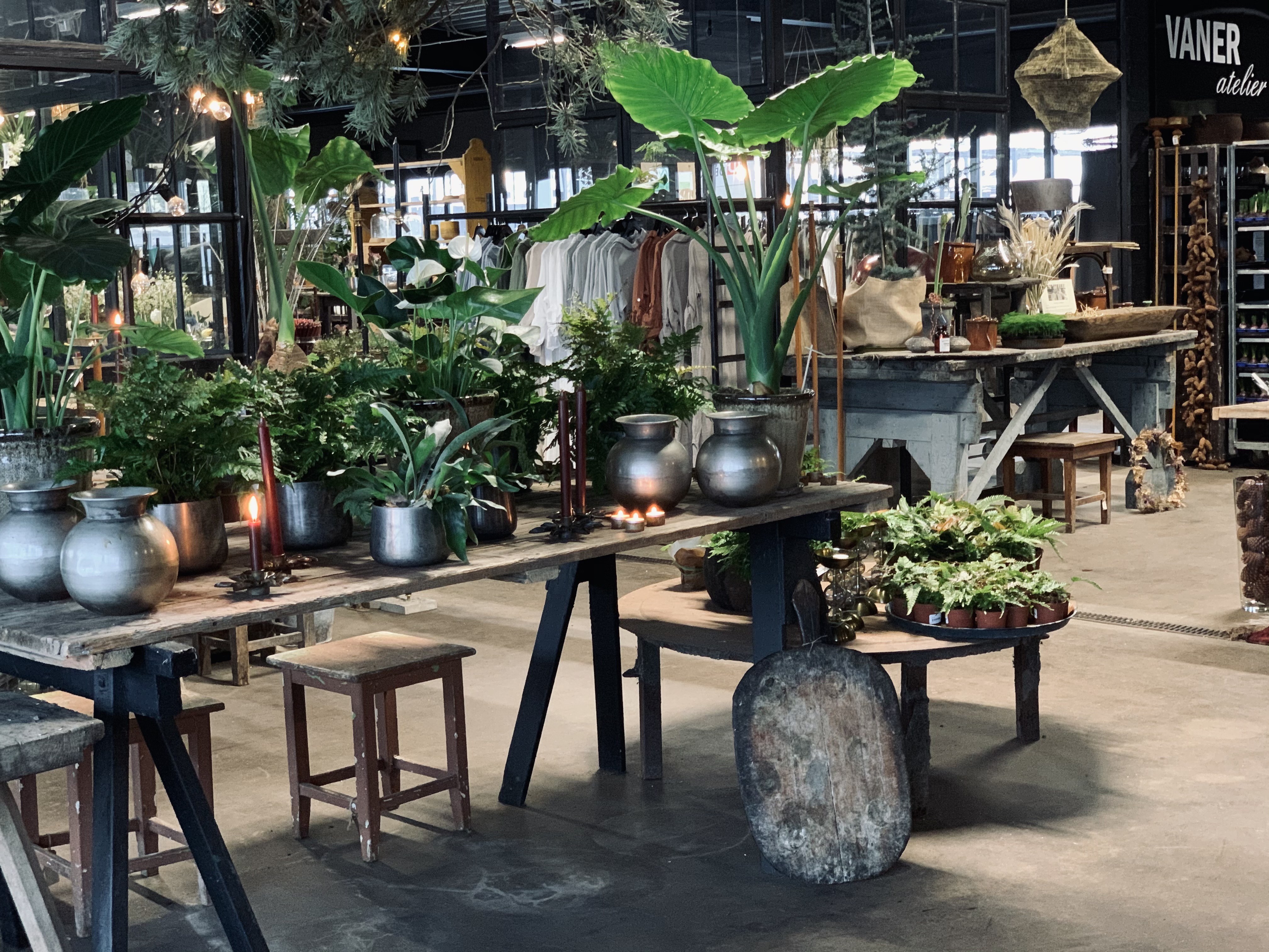 Gröna blommor som står på ett träbord. Grått betong golv. 