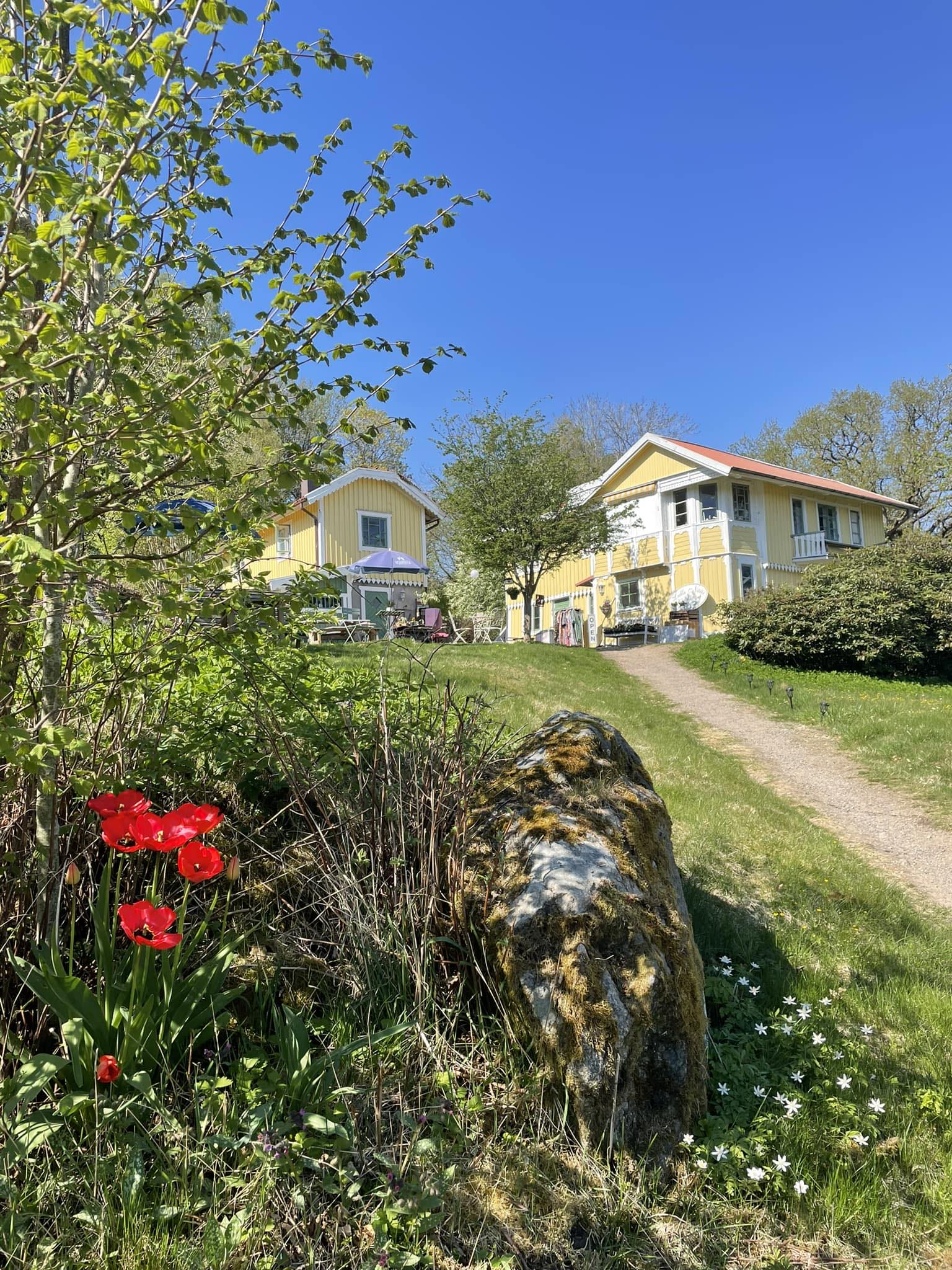 gul villa i grönska