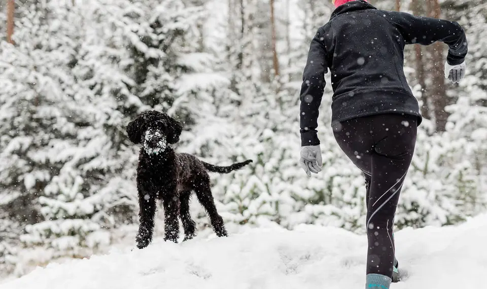 Warm blijven tijdens en na een winterwandeling | Op Pad Warm blijven tijdens en na een winterwandeling | Op Pad