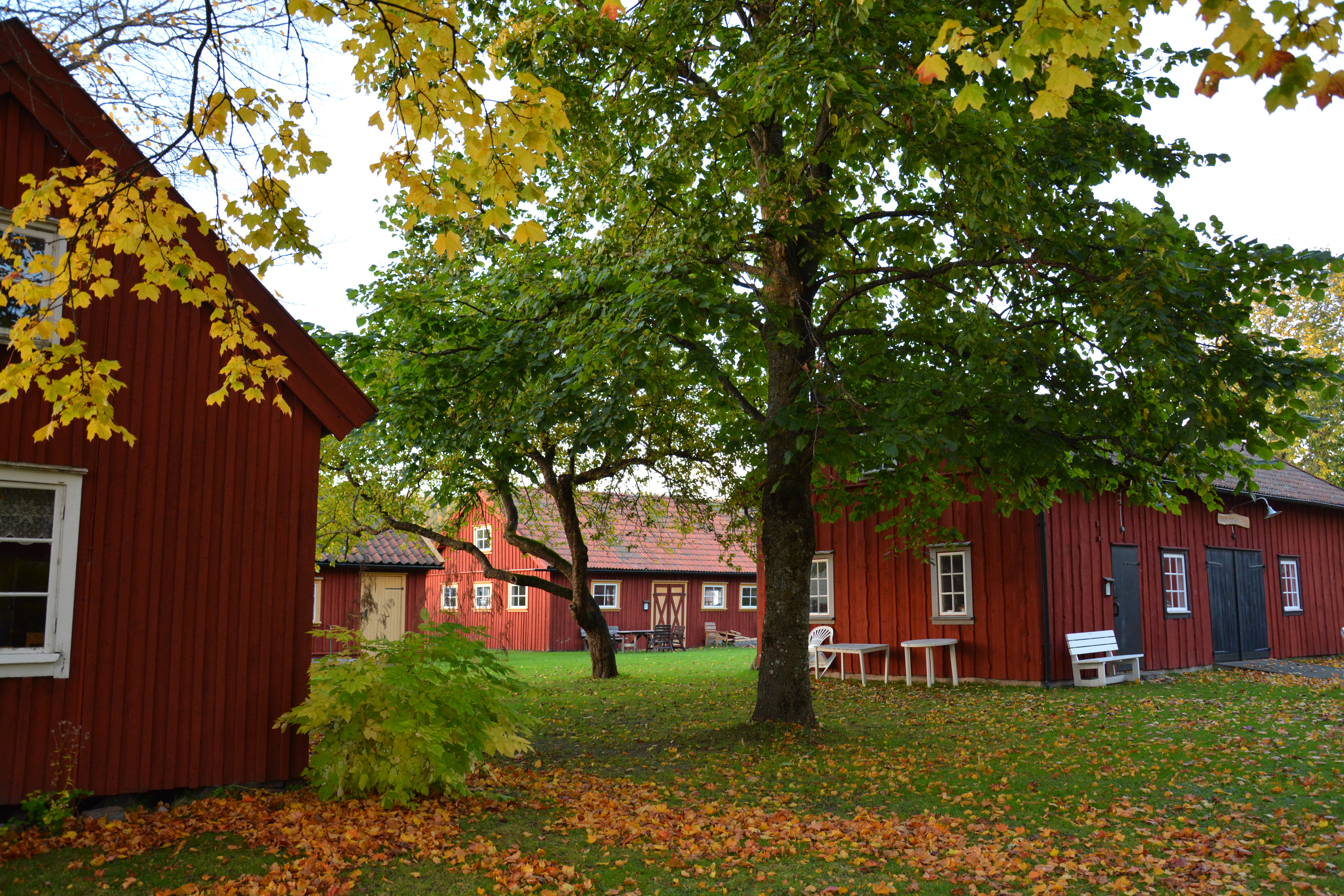 parkmiljö med röda äldre hus
