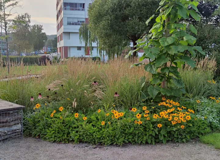 Växtrum: Mångfalden