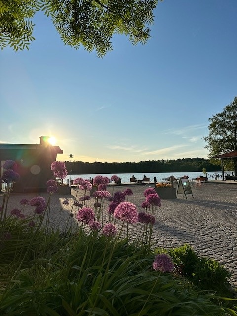 blommor och vatten med utsikt