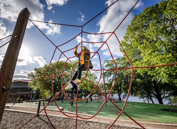 Spindelskogen