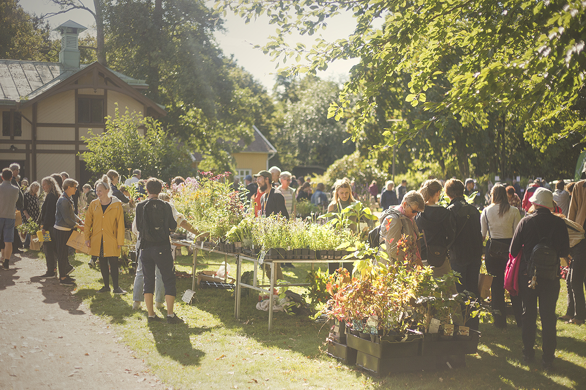 Människor står runt bord av växter