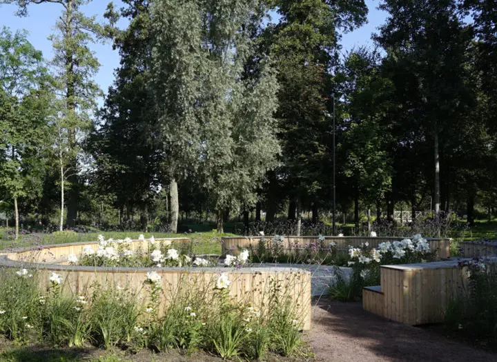 Växtrum: Solens Öga