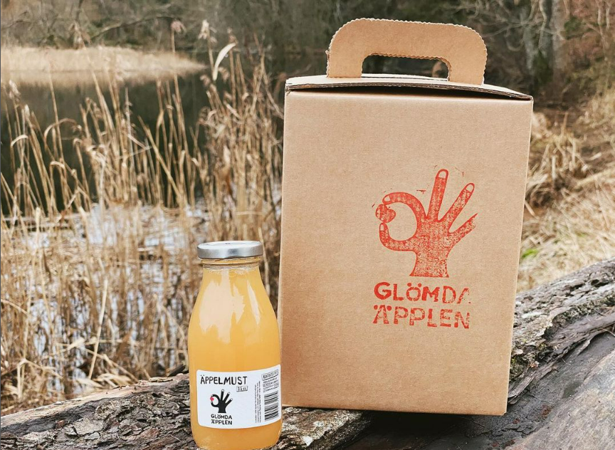 Glömda äpplen, liten glasburk med tetrapack på sten ute