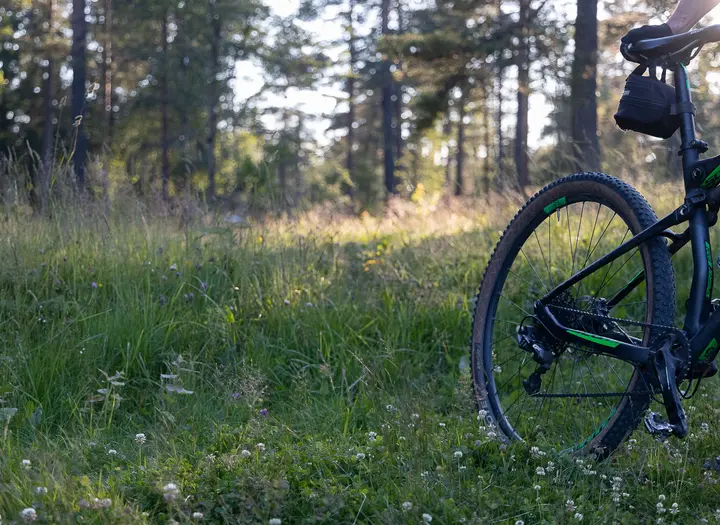 Mountainbikeled Lilla Bää vid Bjursjön