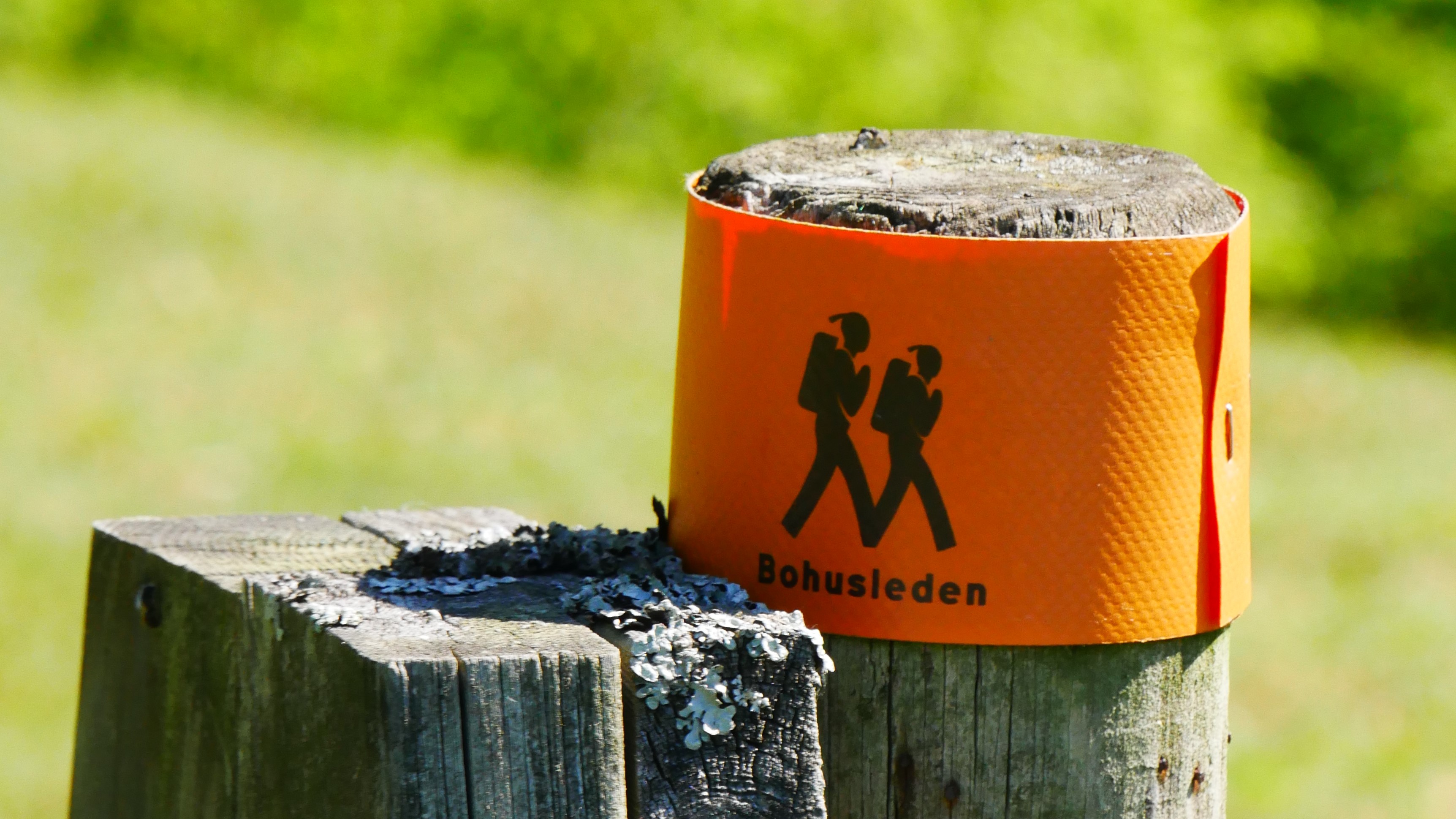 Bohusleden markering