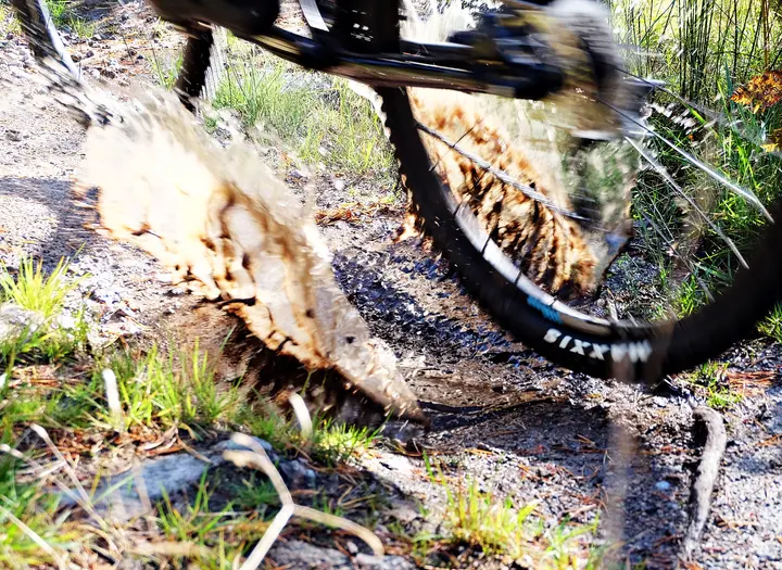 Mountainbikeled Svarta mossen vid Bjursjön