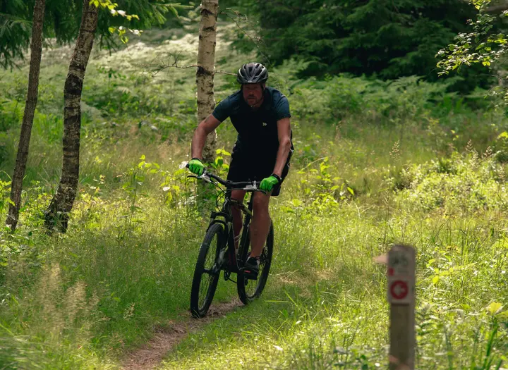 Mountainbikeled Mossen vid Bjursjön