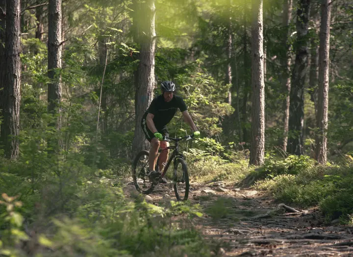 Mountainbikeled Skogsslingan vid Hafsten Resort