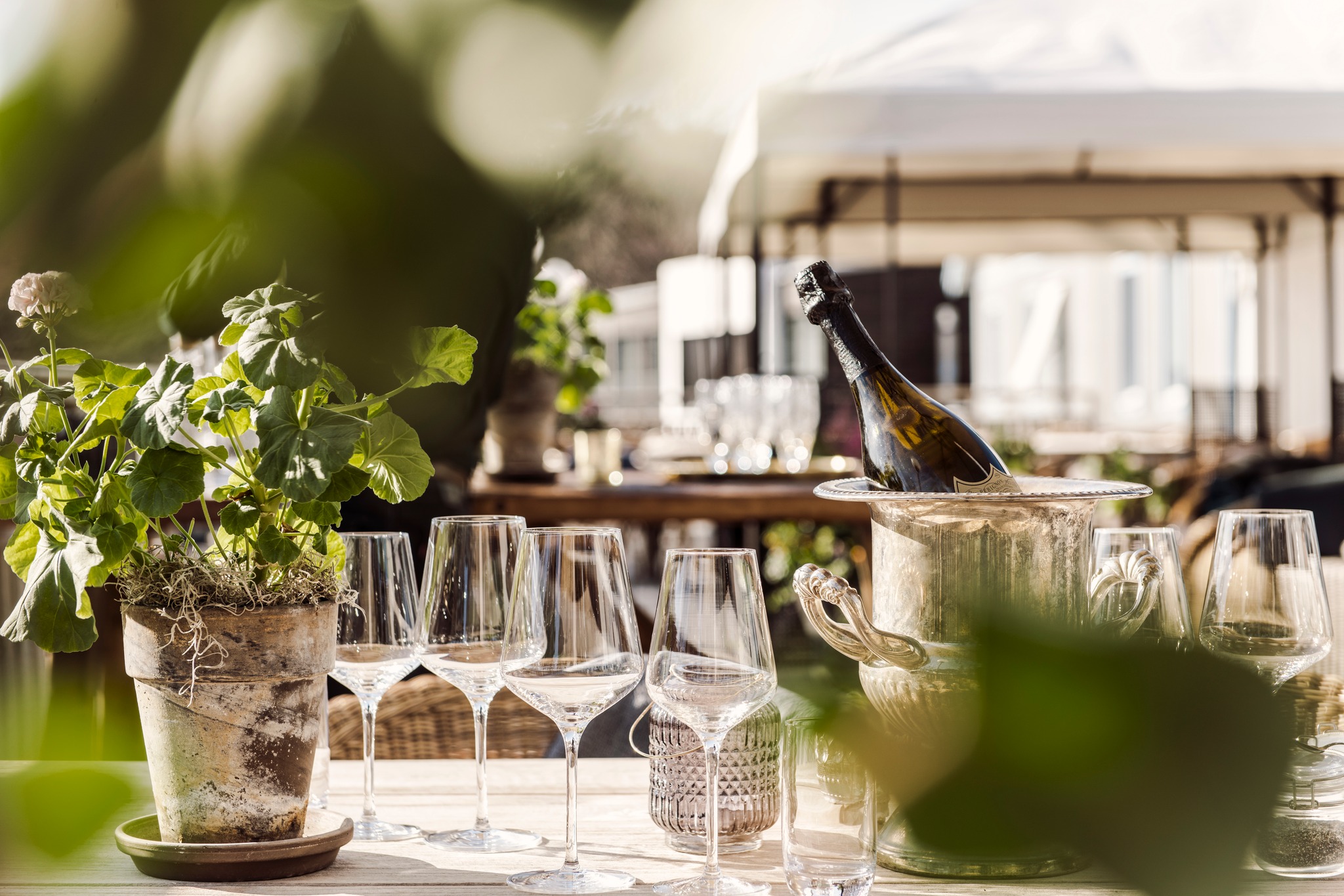 Dukat bord med vinglas och vin kyl 