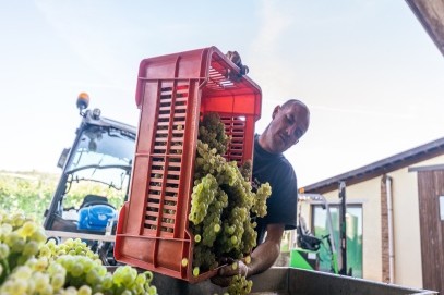 Vinmakare Guido Vada från Piemonte