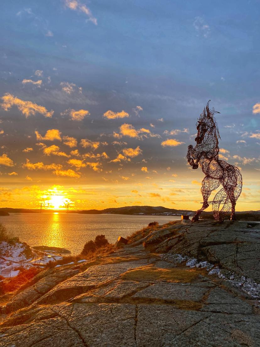 Syrian hästen uddevalla