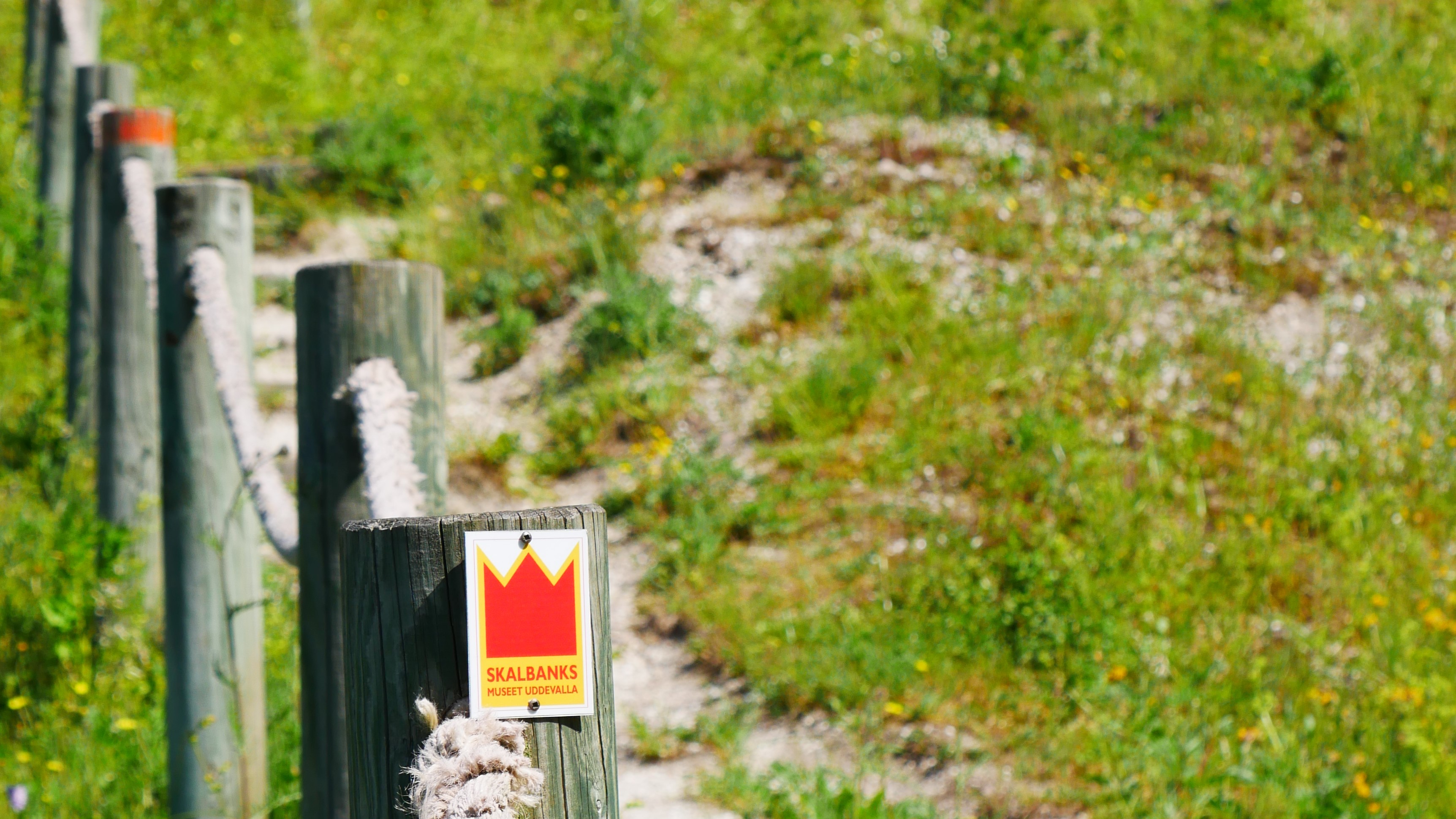 Skalbanksslingan