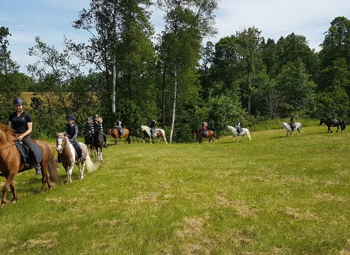 Skansens gård