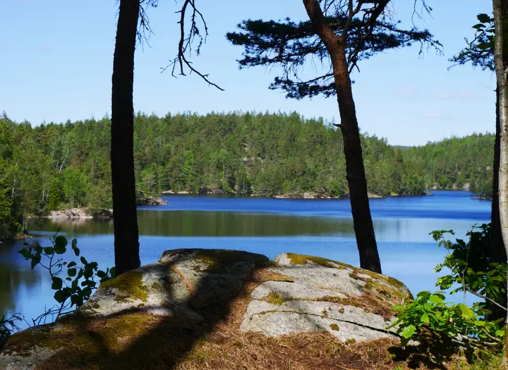 Snäckskalstriangeln