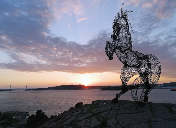 Syrian Horse