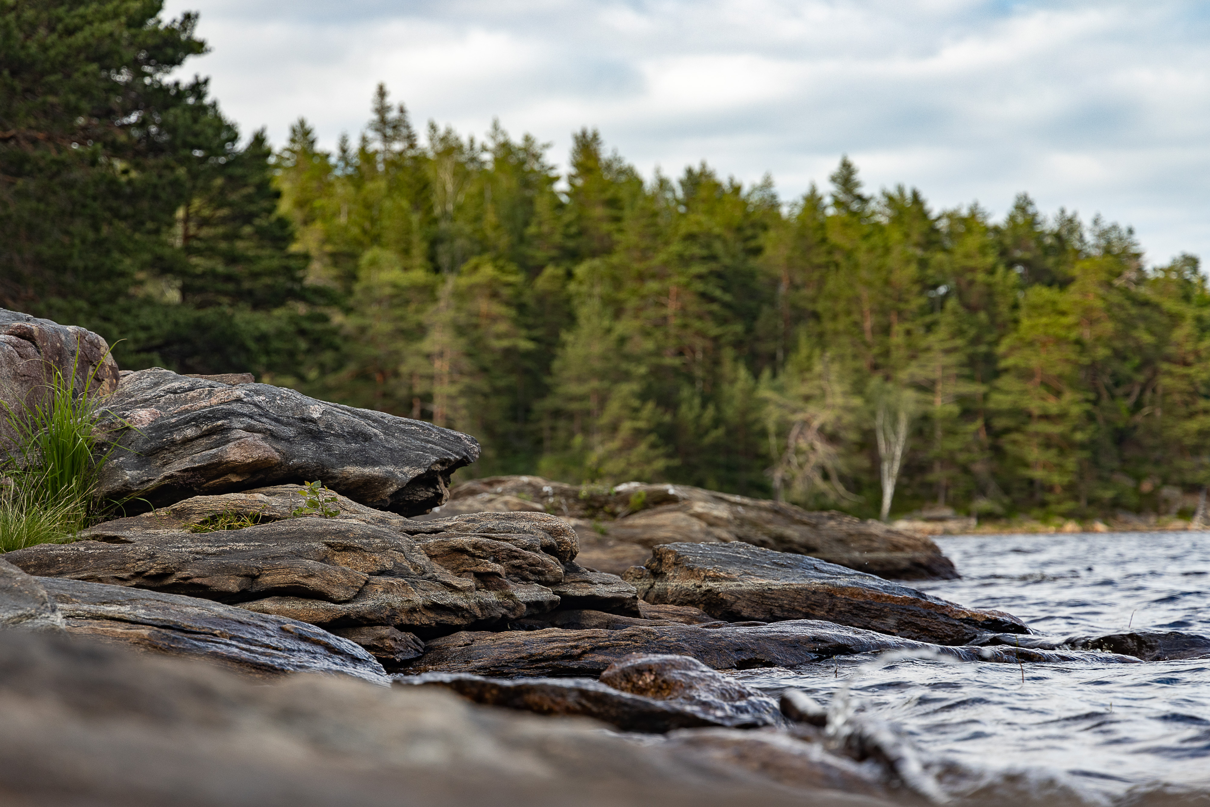 Vandring Bredfjället