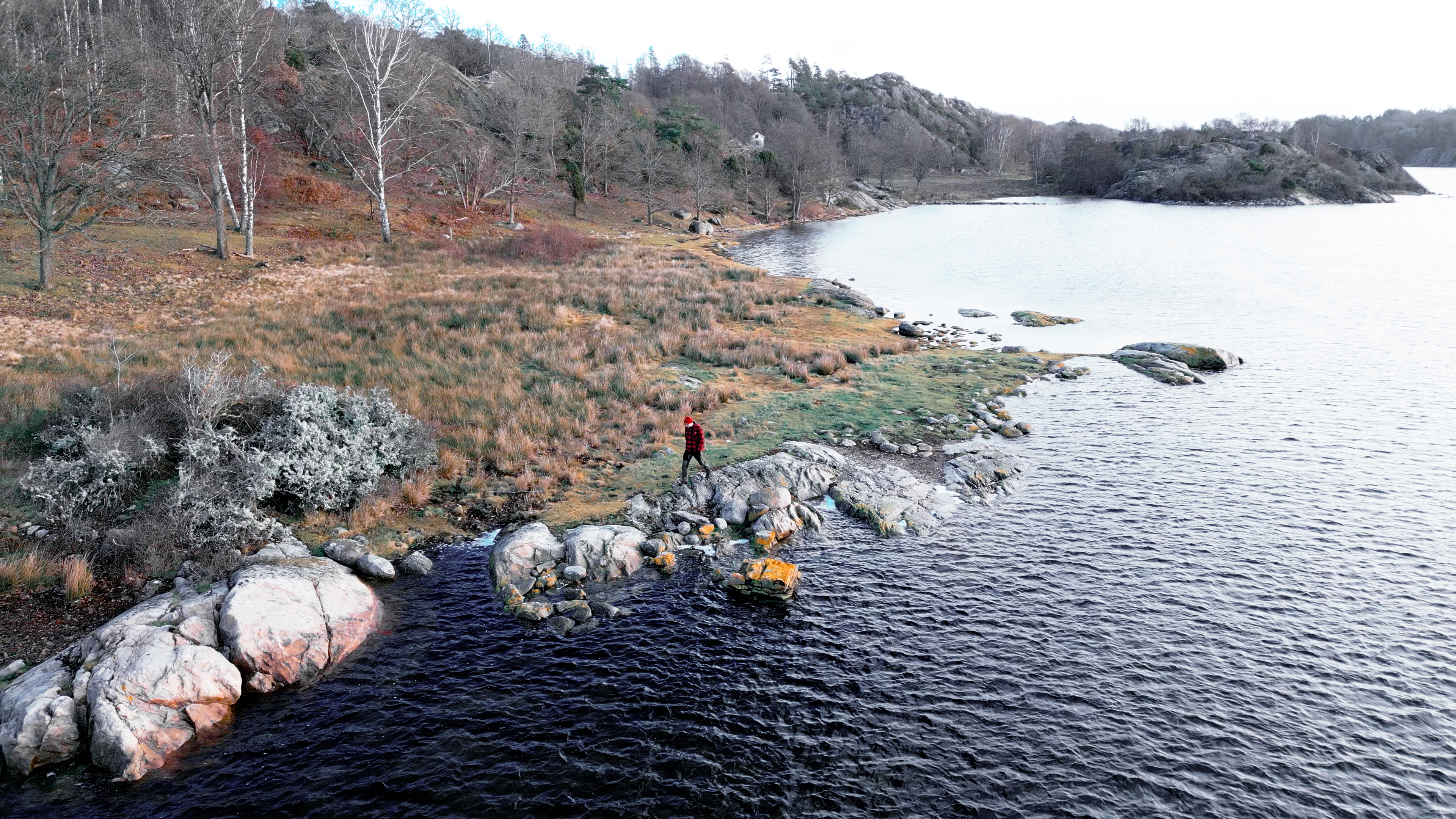 Kärlingesund naturreservat