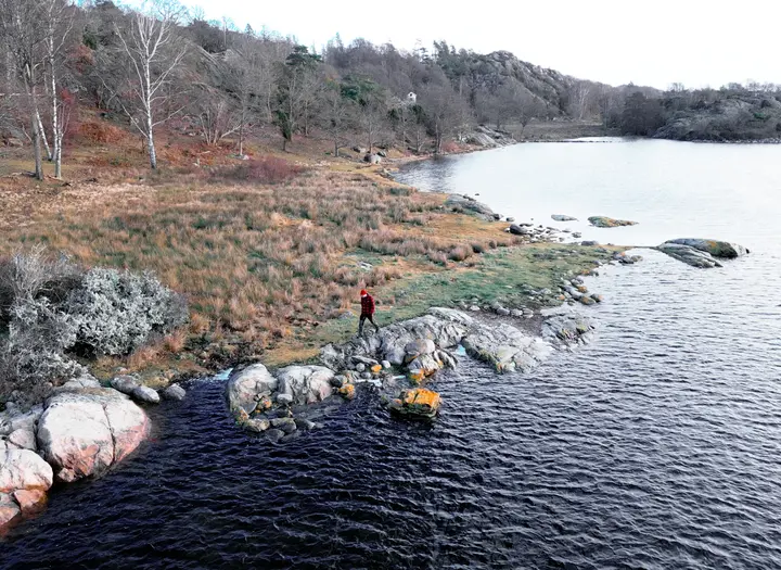 Kärlingesund naturreservat