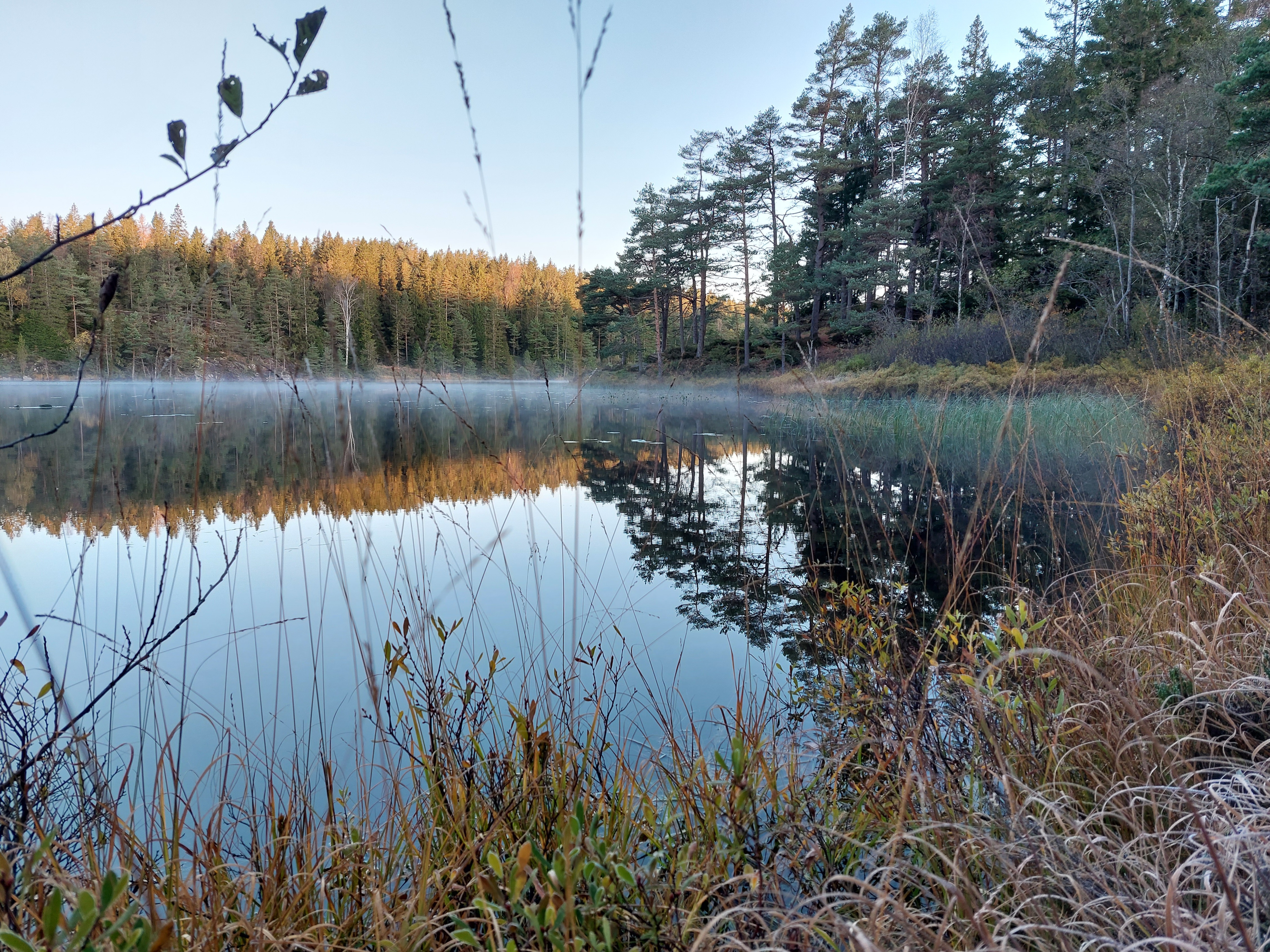 Herrestadsfjället