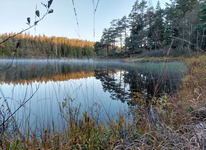 Herrestadsfjället