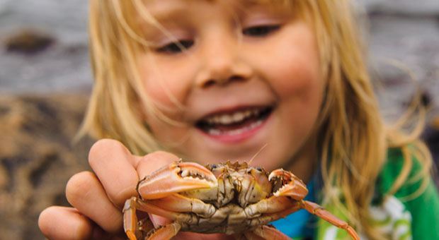 Barn med krabba