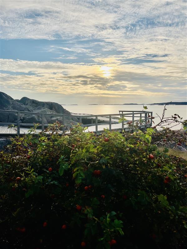 Västerhavspromenaden höst -25