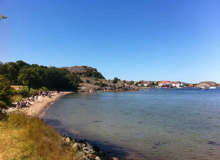 Bökevik