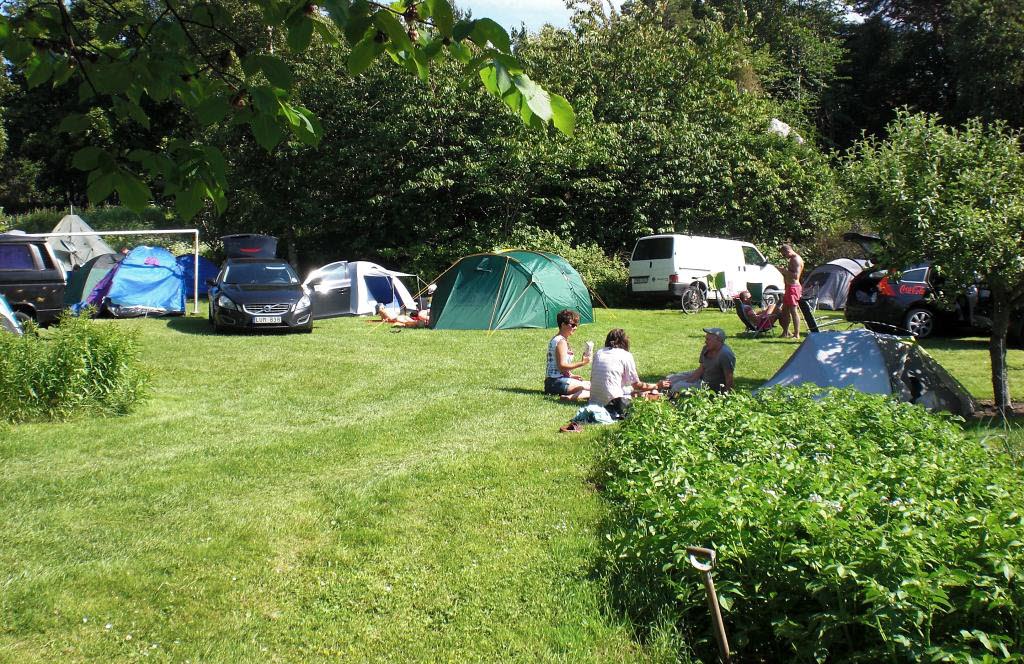 Löfgrens Camping