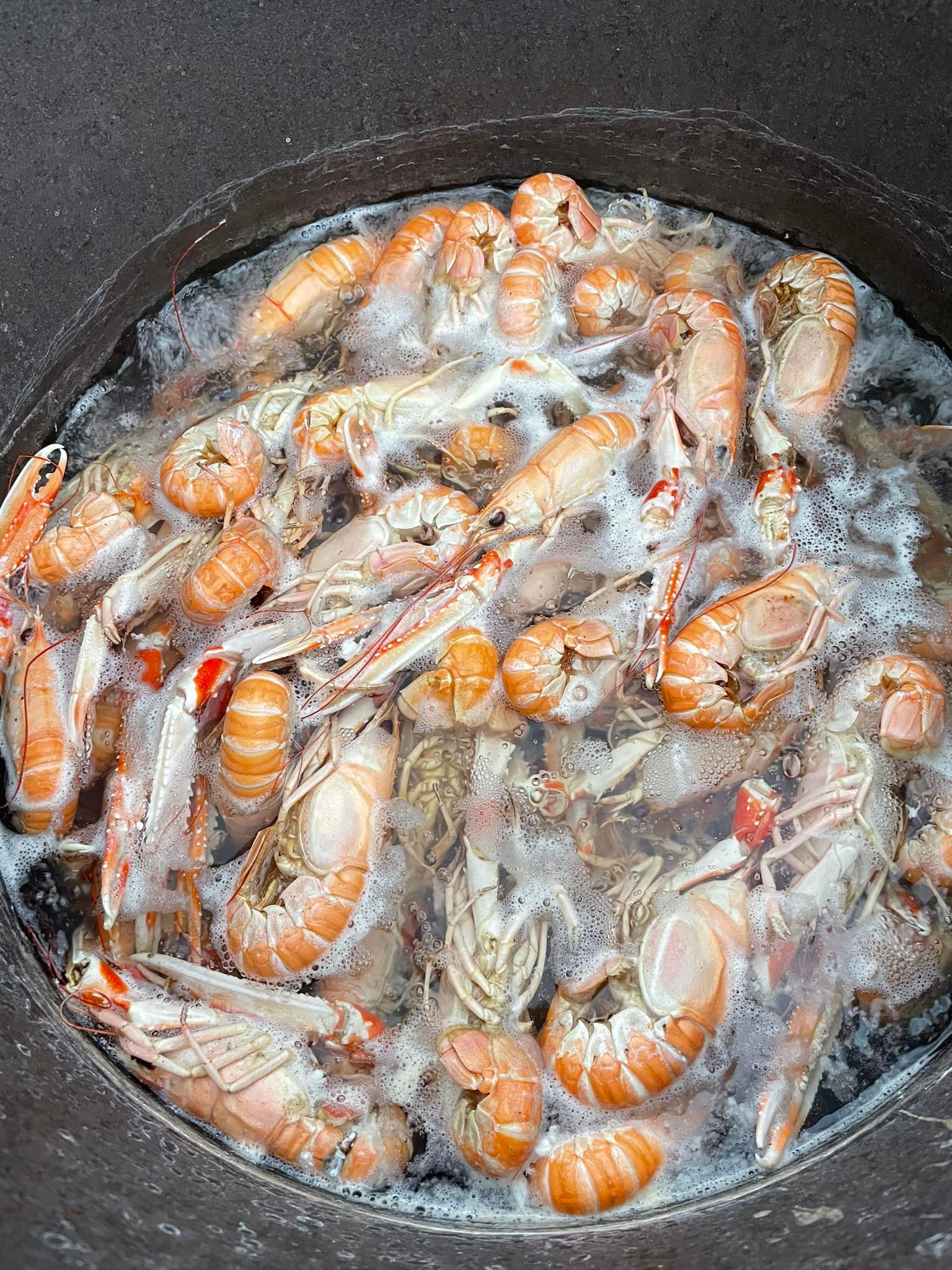 Lysekils Turism & Kustservice4