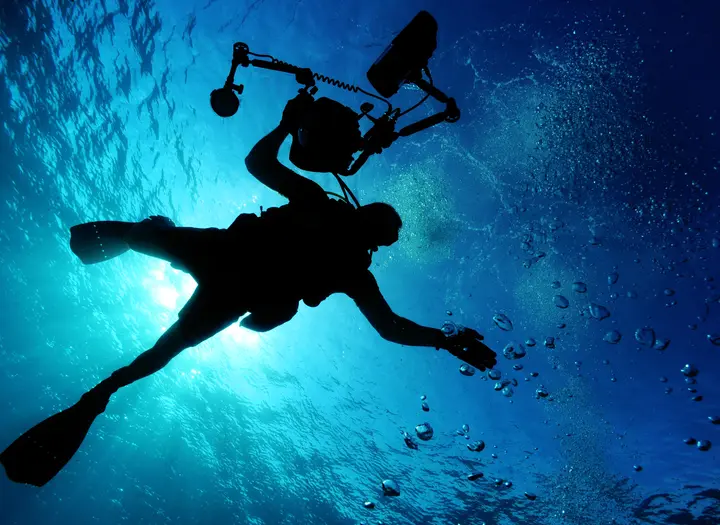 Dive Team