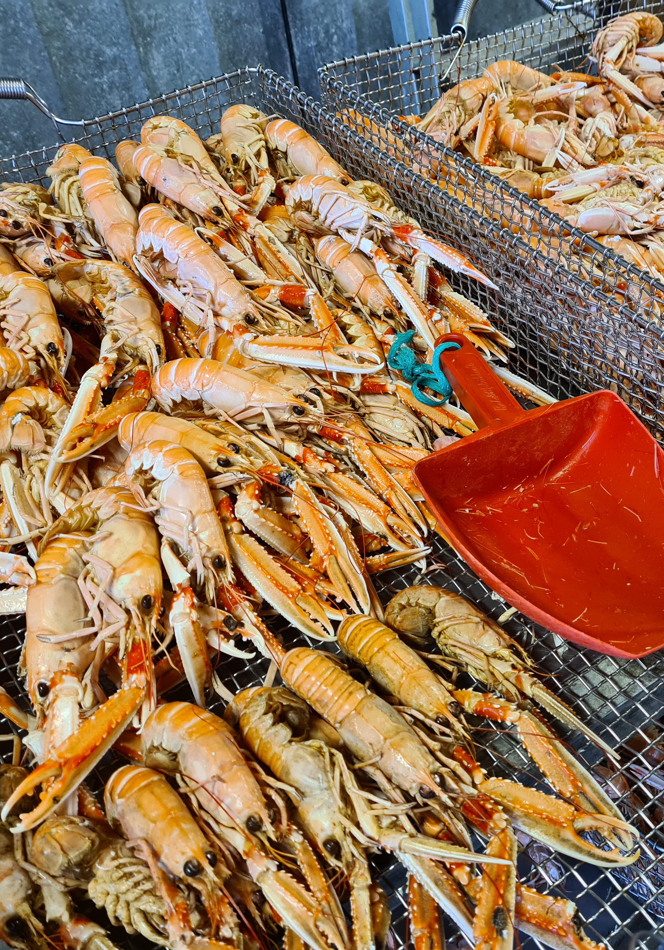 Skaldjur, Fiskhamnen