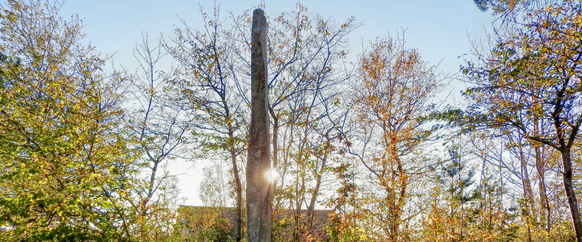 Vinbräckastenen