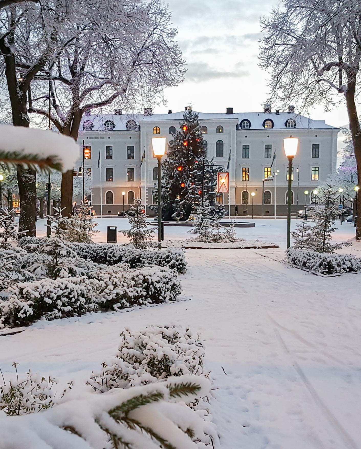 Snö, träd, stor julgran på ett torg.