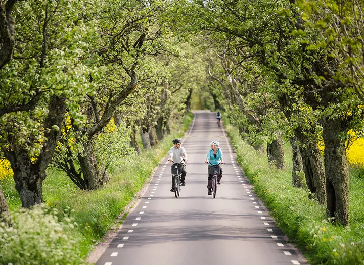 Cykla lilla Oxtrampen